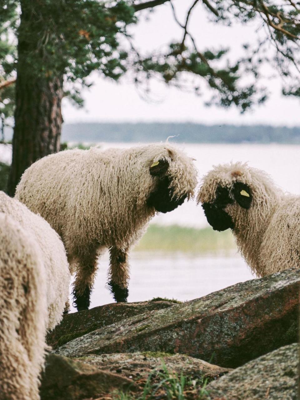 Snaellfaell Country Living - Akerbo Gard Charmigt Renoverad Flygel Kristinehamn Dış mekan fotoğraf