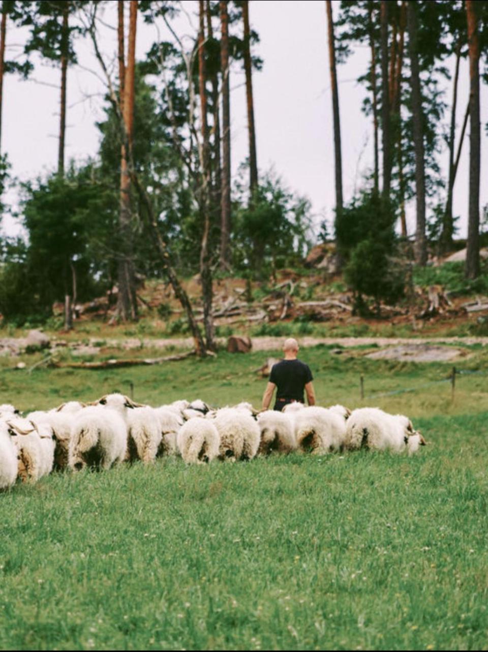 Snaellfaell Country Living - Akerbo Gard Charmigt Renoverad Flygel Kristinehamn Dış mekan fotoğraf